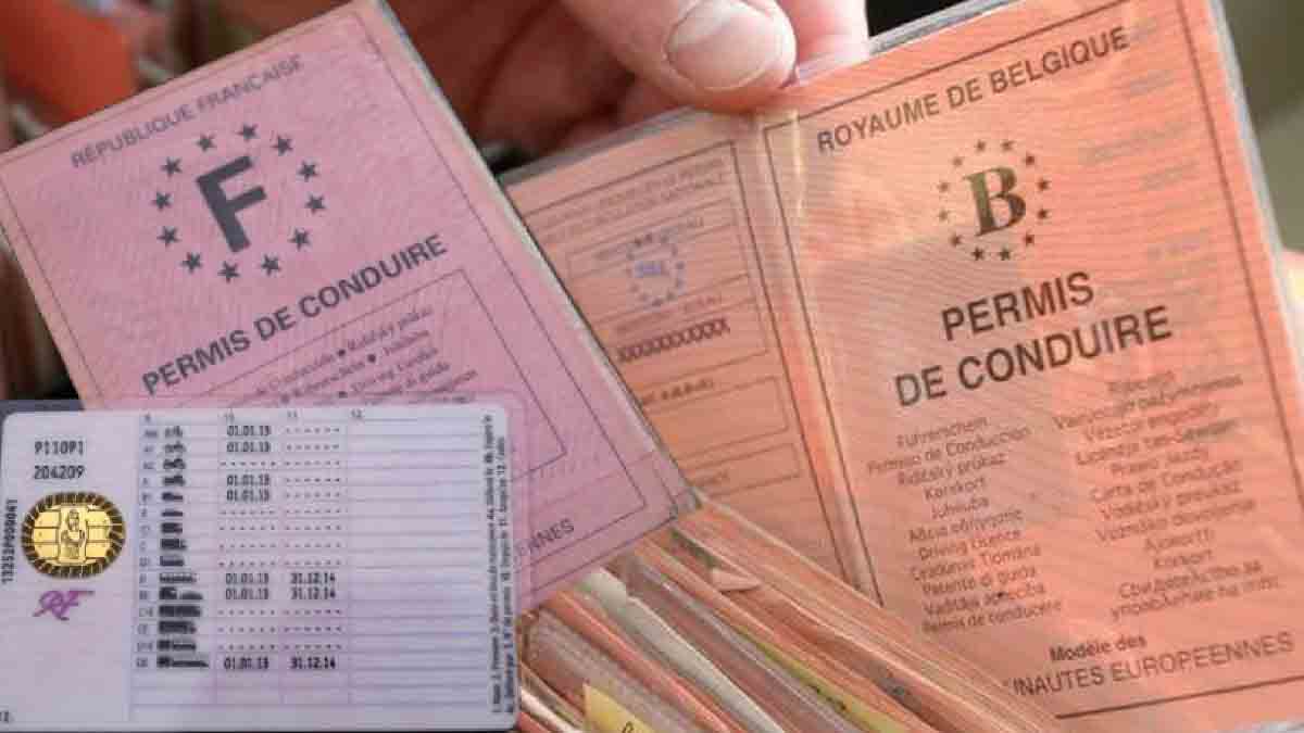 Du Nouveau Concernant Le Permis De Conduire : Les Règles Se Durcissent