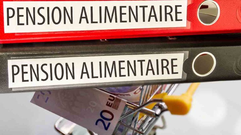 Pension Alimentaire : Ce Nouveau Dispositif Permet D’évaluer Rapidement ...