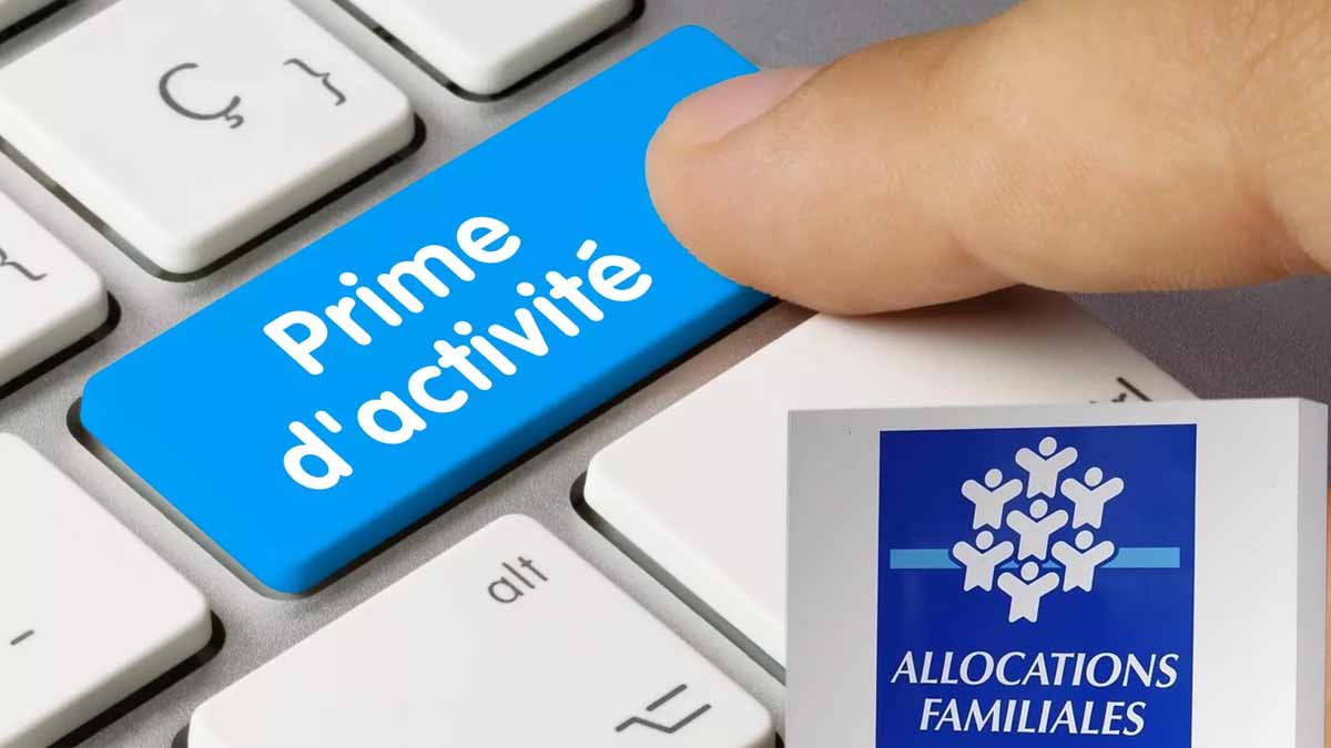 APL, RSA, Prime D’activité : Voici Comment La CAF Gère Les Aides Les ...