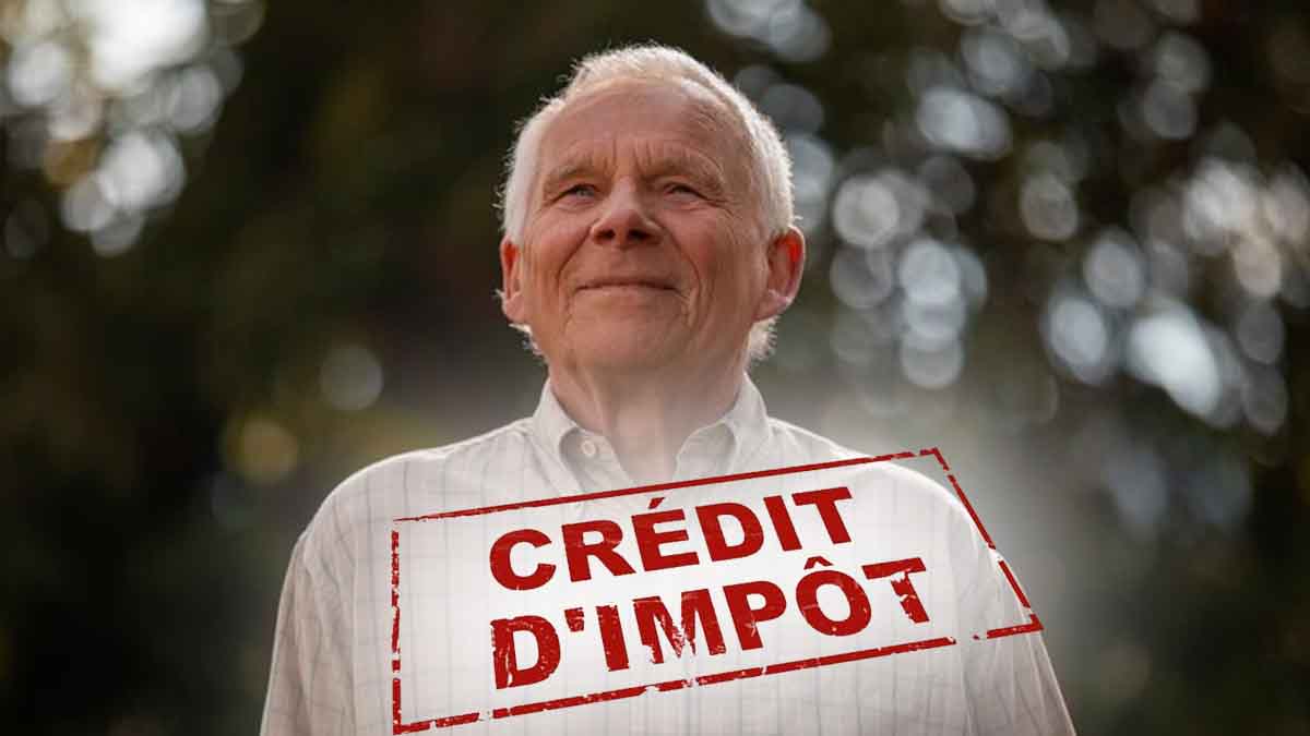 Crédit Dimpôt 2024 Quels Outils Faut Il Utiliser Pour Ladaptation Des Logements Au 